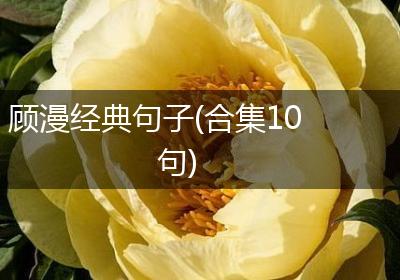 顾漫经典句子(合集10句)