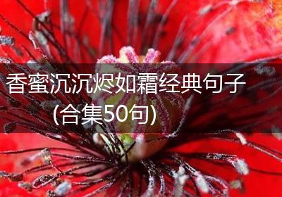 香蜜沉沉烬如霜经典句子(合集50句)