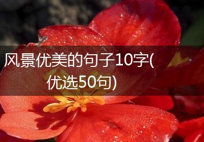 风景优美的句子10字(优选50句)