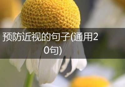 预防近视的句子(通用20句)