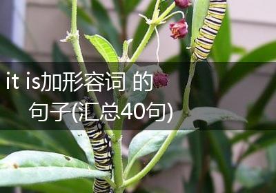 it is加形容词 的句子(汇总40句)