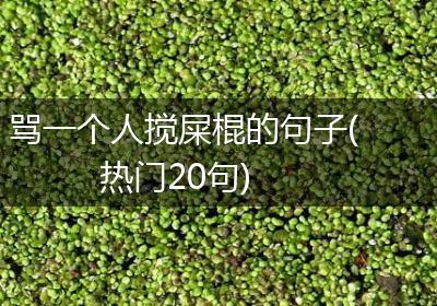 骂一个人搅屎棍的句子(热门20句)
