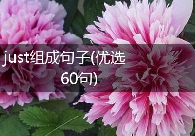 just组成句子(优选60句)