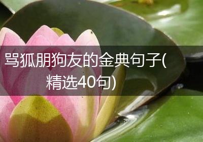 骂狐朋狗友的金典句子(精选40句)