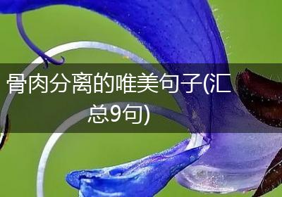 骨肉分离的唯美句子(汇总9句)