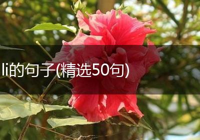 li的句子(精选50句)