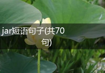 jar短语句子(共70句)