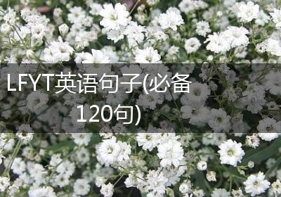 LFYT英语句子(必备120句)