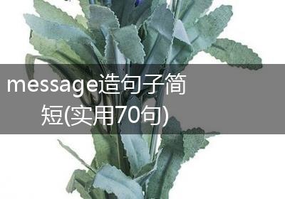 message造句子简短(实用70句)