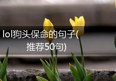 lol狗头保命的句子(推荐50句)