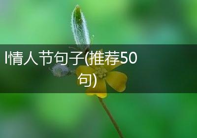 l情人节句子(推荐50句)