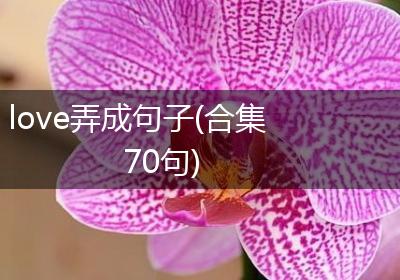 love弄成句子(合集70句)