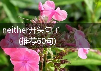 neither开头句子(推荐60句)