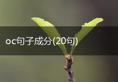 oc句子成分(20句)
