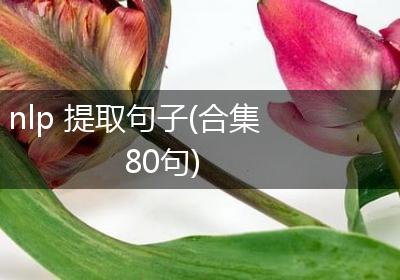 nlp 提取句子(合集80句)