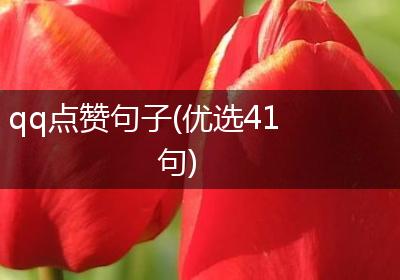 qq点赞句子(优选41句)
