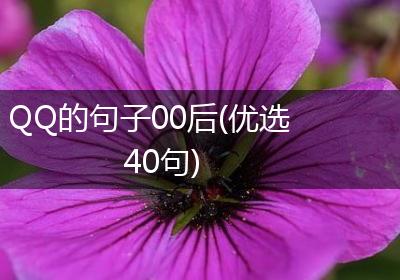QQ的句子00后(优选40句)