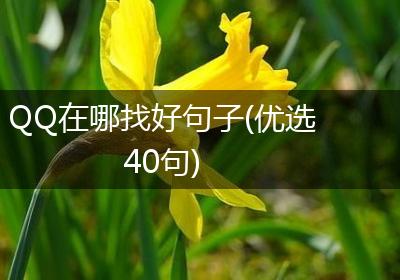 QQ在哪找好句子(优选40句)