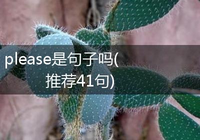 please是句子吗(推荐41句)
