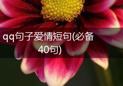 qq句子爱情短句(必备40句)