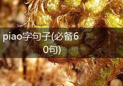 piao字句子(必备60句)