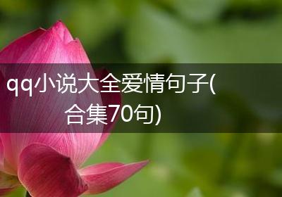 qq小说大全爱情句子(合集70句)