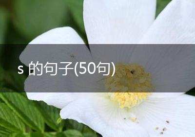 s 的句子(50句)