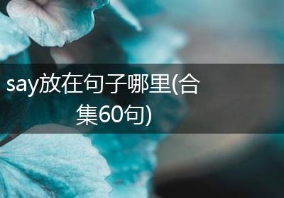 say放在句子哪里(合集60句)