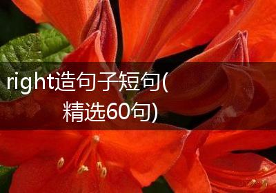 right造句子短句(精选60句)