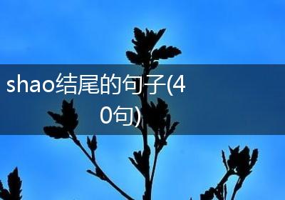 shao结尾的句子(40句)