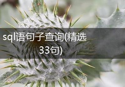 sql语句子查询(精选33句)