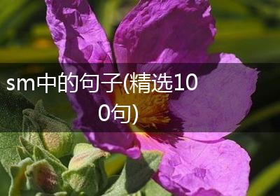 sm中的句子(精选100句)