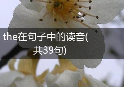 the在句子中的读音(共39句)