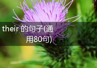 their 的句子(通用80句)