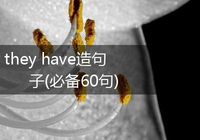 they have造句子(必备60句)
