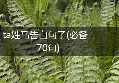 ta姓马告白句子(必备70句)