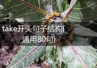 take开头句子结构(通用80句)