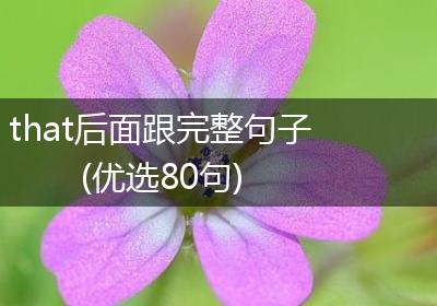 that后面跟完整句子(优选80句)