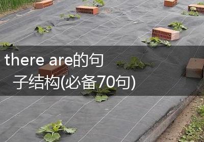 there are的句子结构(必备70句)