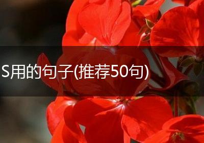 S用的句子(推荐50句)
