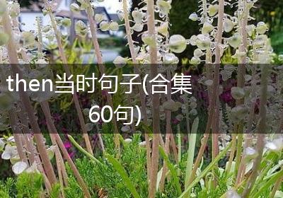 then当时句子(合集60句)