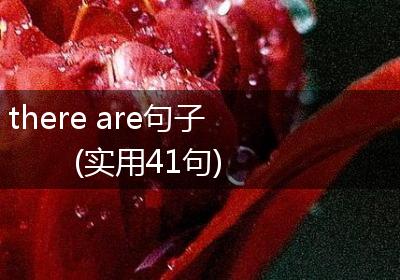 there are句子(实用41句)