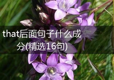 that后面句子什么成分(精选16句)