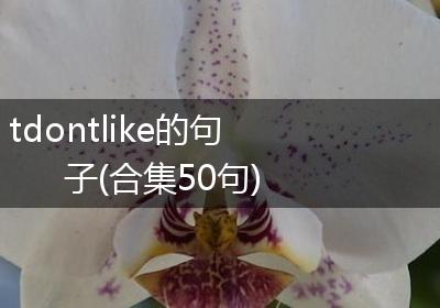 tdontlike的句子(合集50句)