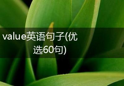 value英语句子(优选60句)