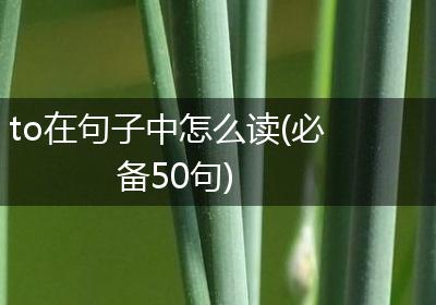 to在句子中怎么读(必备50句)