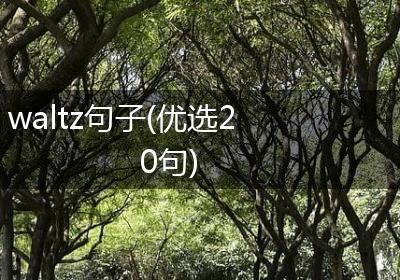waltz句子(优选20句)