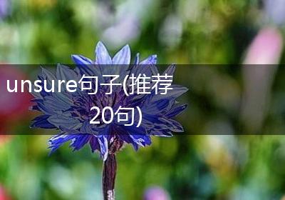 unsure句子(推荐20句)