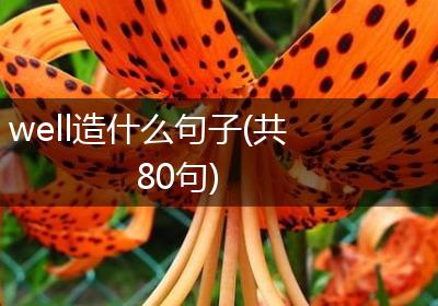 well造什么句子(共80句)
