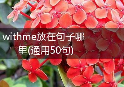 withme放在句子哪里(通用50句)